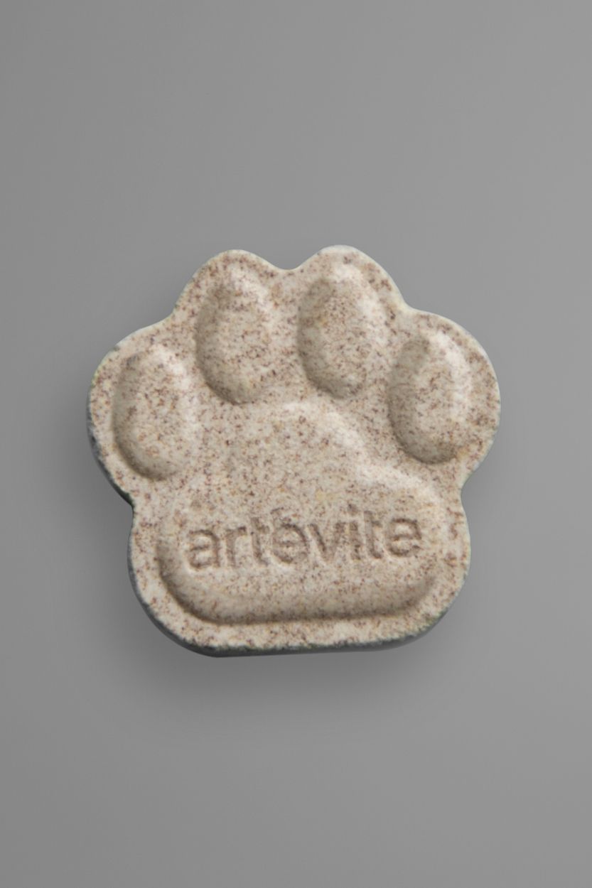 The Artevite logo on a dog tablet