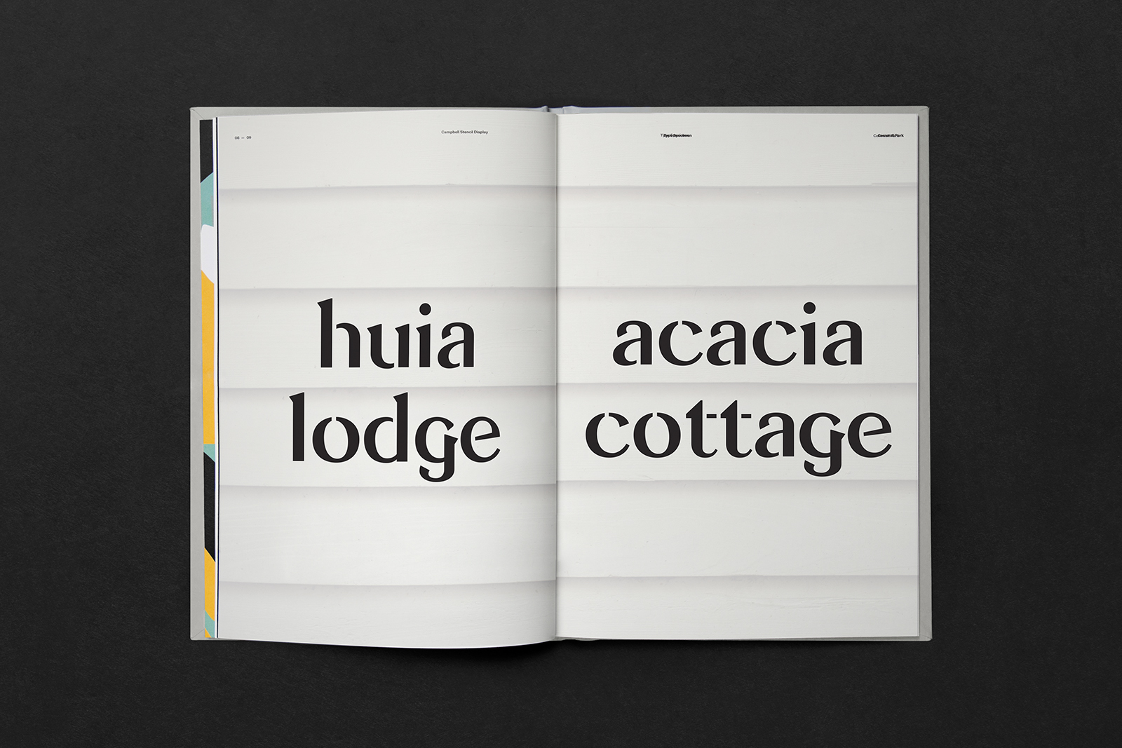 Open pages of book showcasing typeface at larger scale